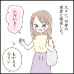 実家に帰省した話